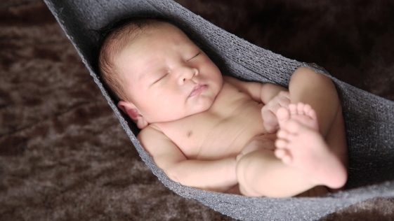 agnes semnificatie nume