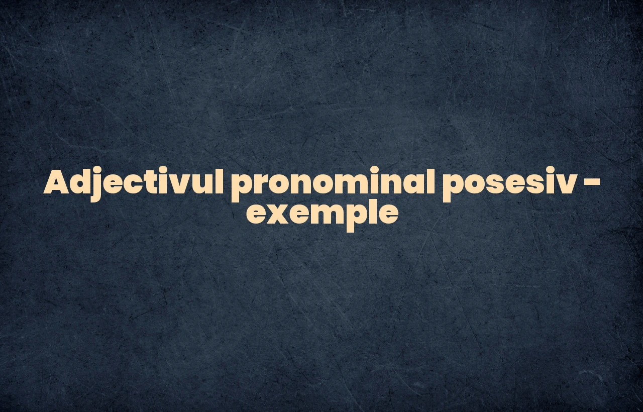 adjectiv pronominal posesiv exemple