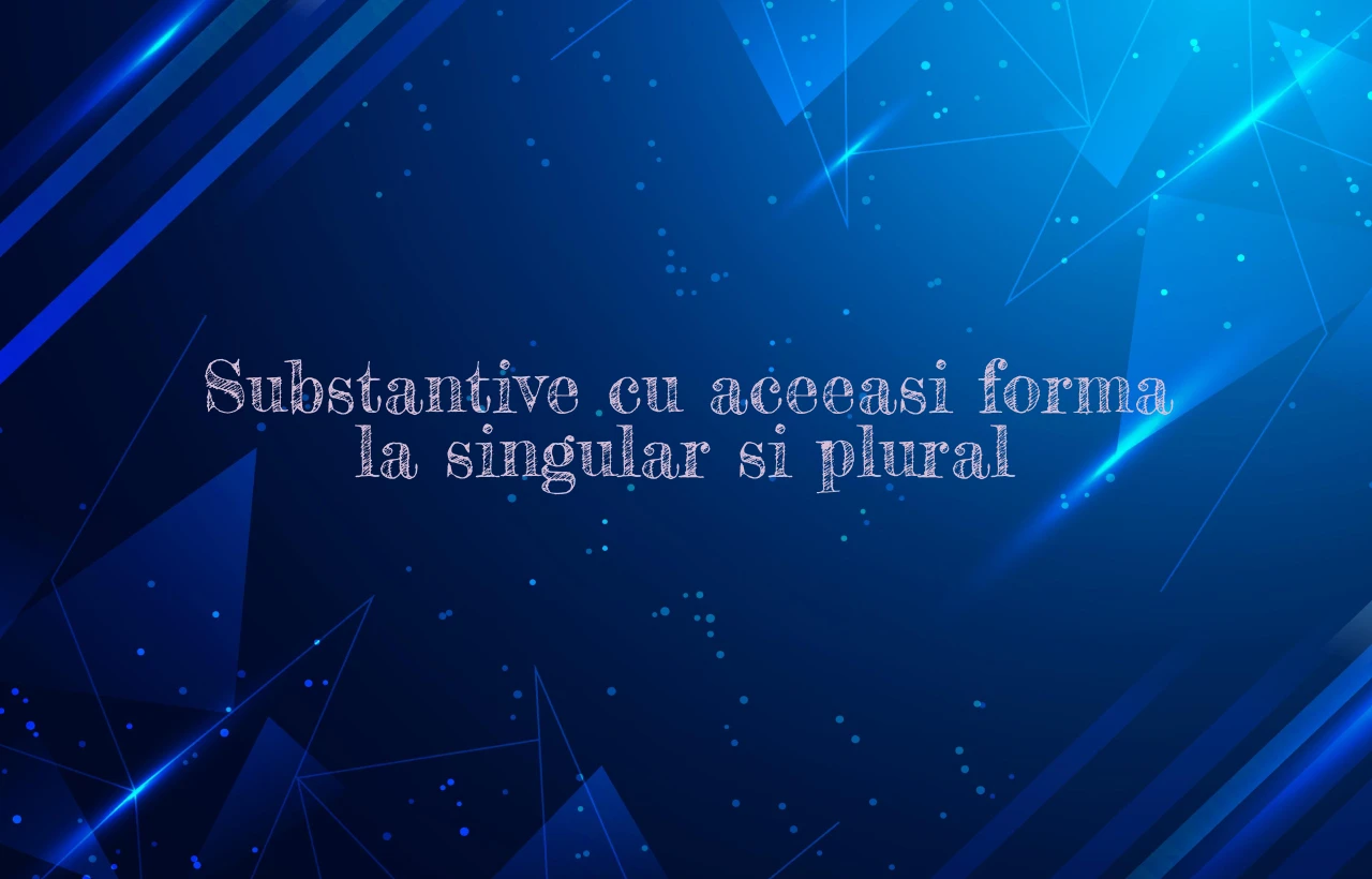 substantive cu aceeasi forma la singular si plural
